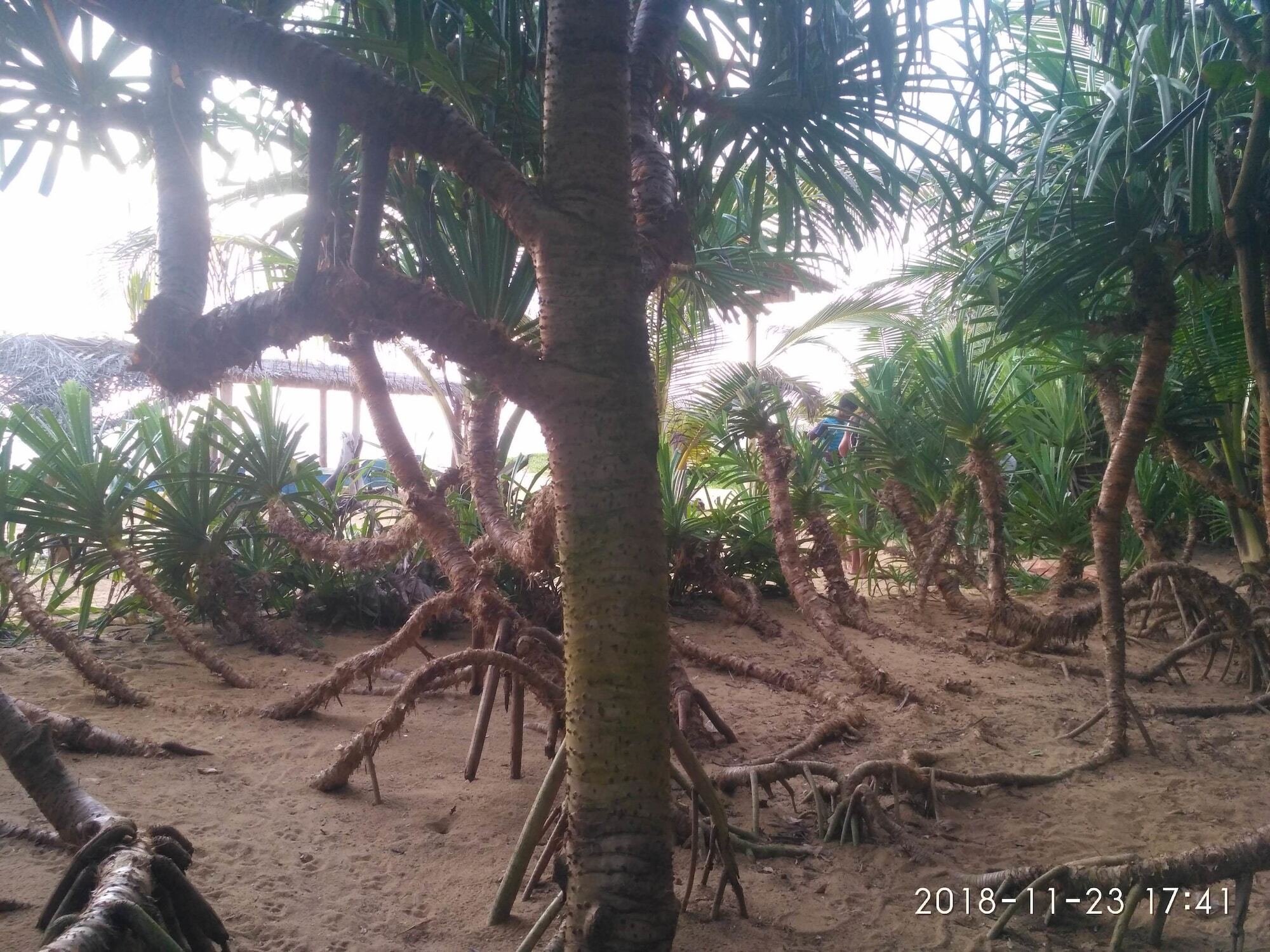Ravana - Beach Cabanas Hikkaduwa Bagian luar foto